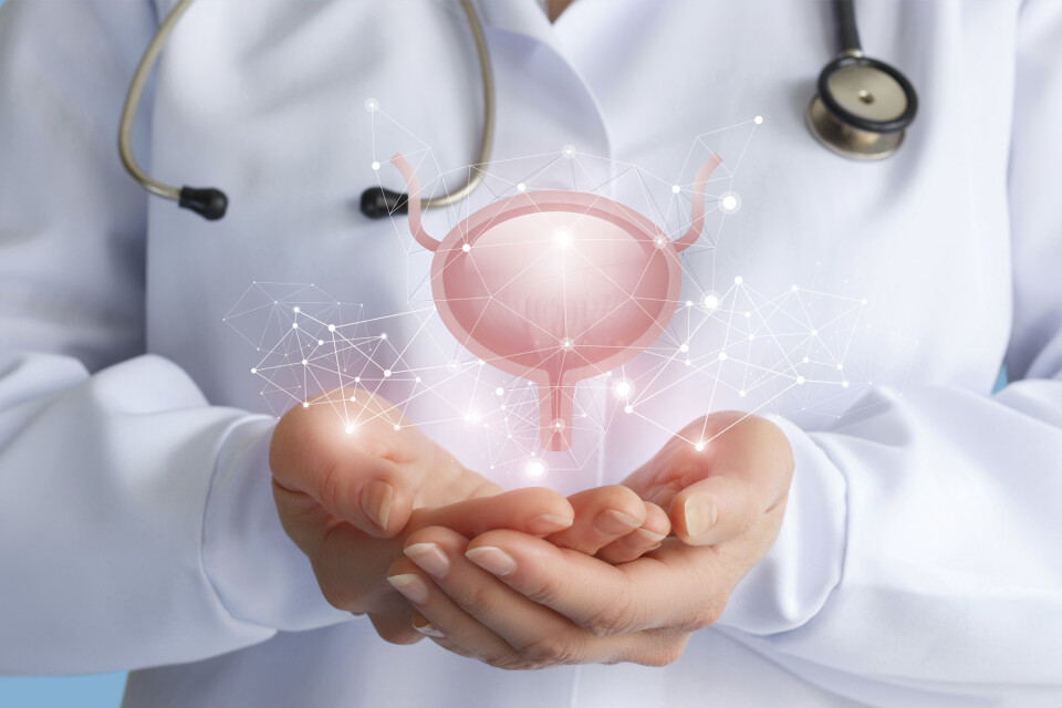 Visualisatie blaas met handen dokter stethoscoop friends of uroqare